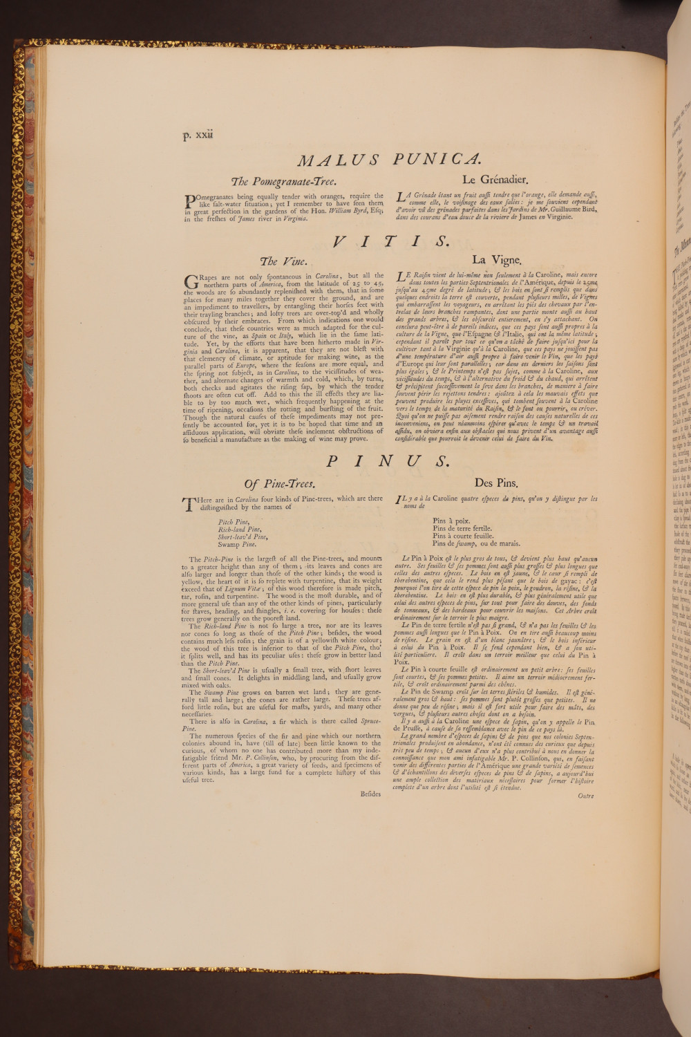 Page xxii